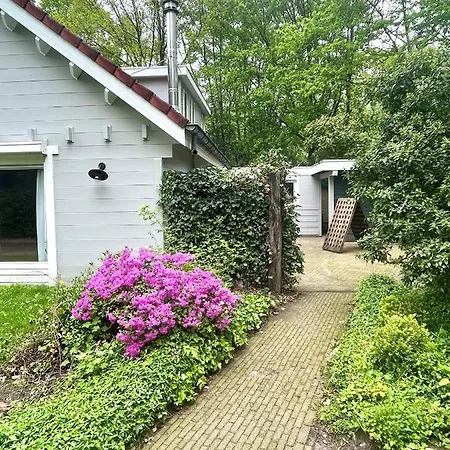 Kempenlodge, Luxe Boshuis Voor 8 Pers, In Brabantse *