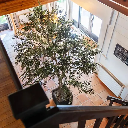 Semesterbostad Kempenlodge, Luxe Boshuis Voor 8 Pers, In Brabantse Diessen