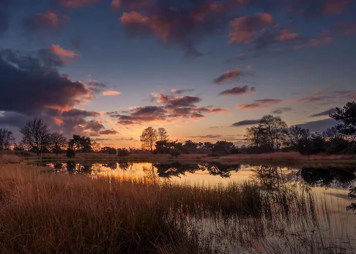 Kempenlodge, Luxe Boshuis Voor 8 Pers, In Brabantse *