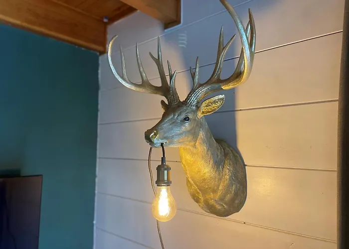 Hébergement de vacances Kempenlodge, Luxe Boshuis Voor 8 Pers, In Brabantse Diessen