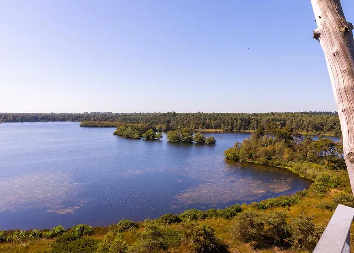 Kempenlodge, Luxe Boshuis Voor 8 Pers, In Brabantse Diessen