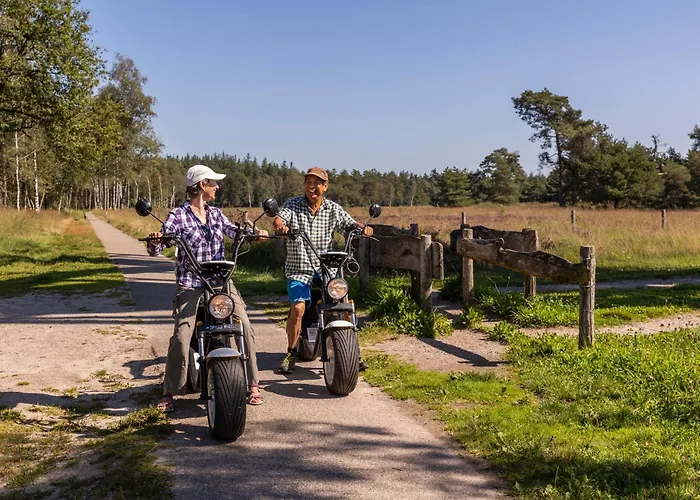 Kempenlodge, Luxe Boshuis Voor 8 Pers, In Brabantse Diessen
